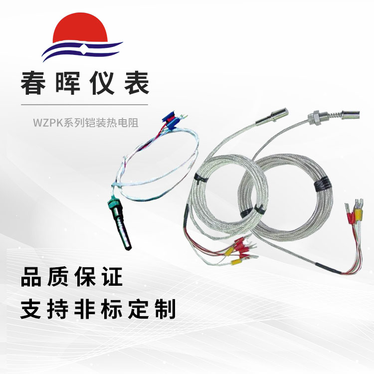 WZPK系列铠装热电阻