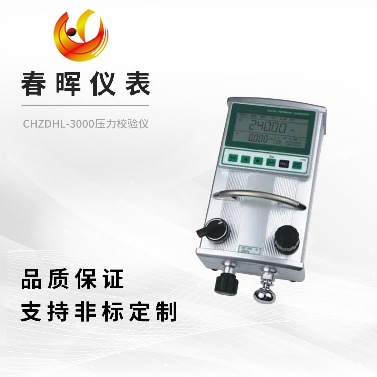 CHZDHL-3000ѹ��У����